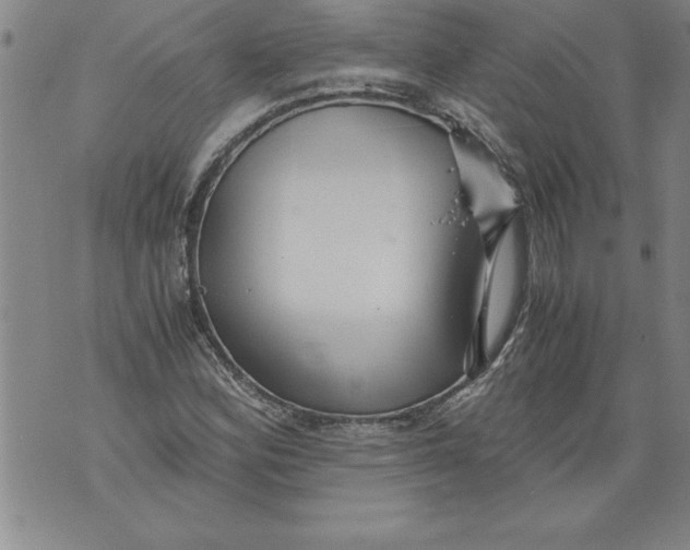 X0000076091164200610152311