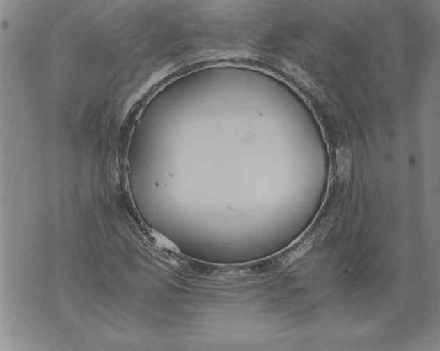 X0000076091165200610152311