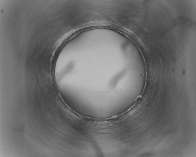 X0000076091168200610152311