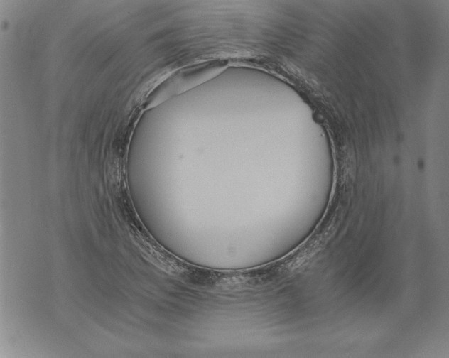 X0000076091169200610152311