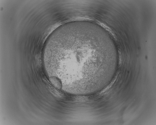 X0000076091170200610152311