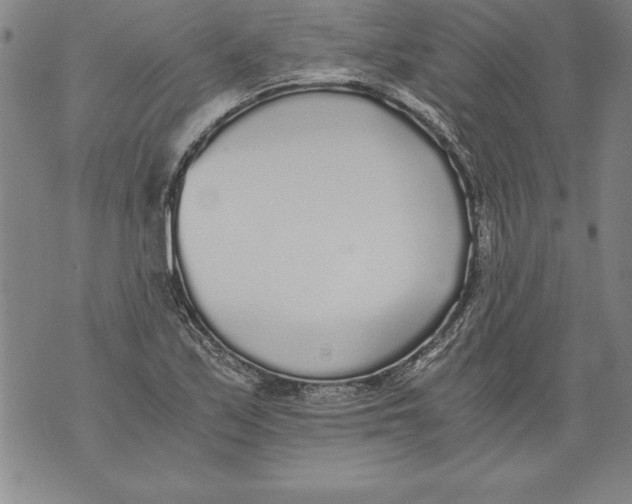 X0000076091171200610152311