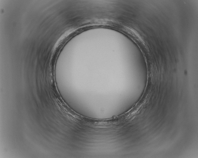 X0000076091172200610152311