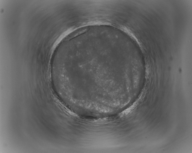 X0000076091173200610152311