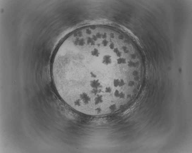 X0000076091174200610152311