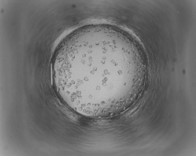 X0000076091175200610152311