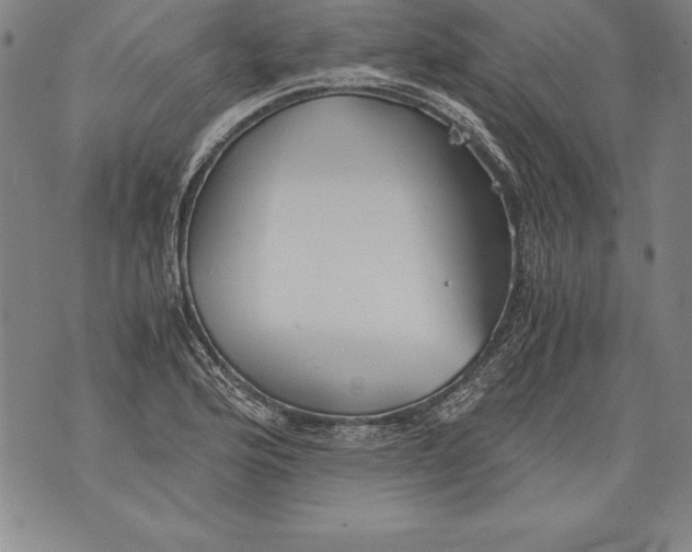 X0000076091176200610152311