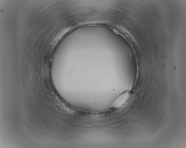 X0000076091177200610152311