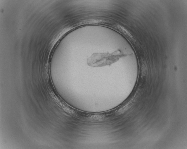 X0000076091178200610152311