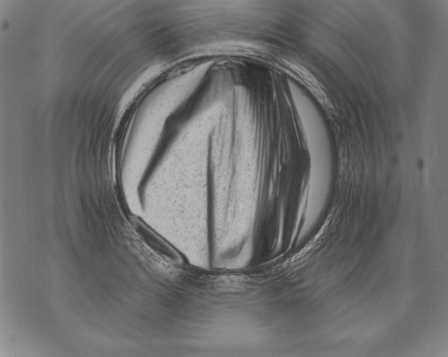 X0000076091180200610152311