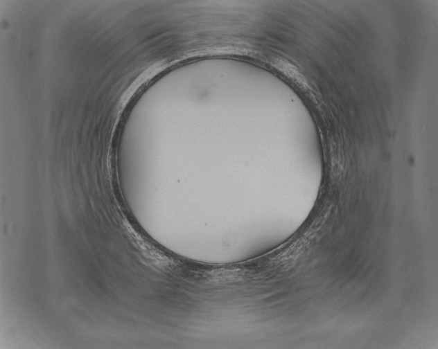 X0000076091181200610152311