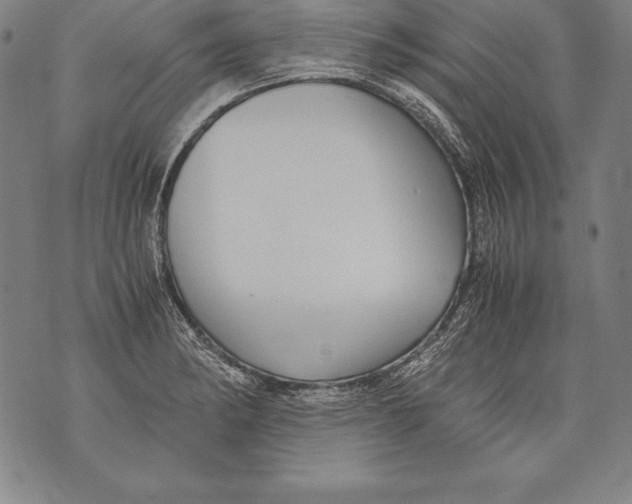 X0000076091182200610152311