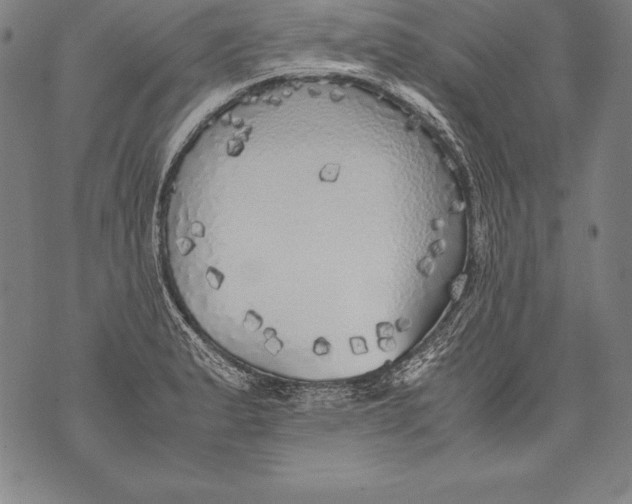 X0000076091183200610152311