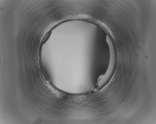 X0000076091184200610152311