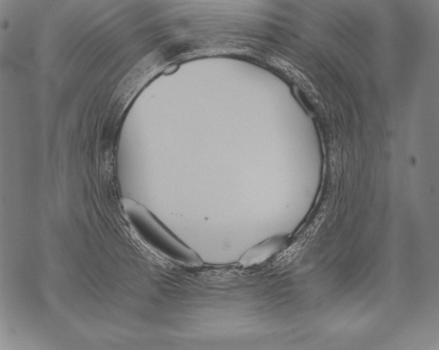 X0000076091185200610152311