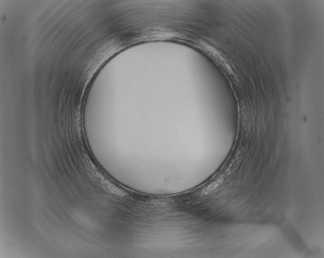 X0000076091186200610152311