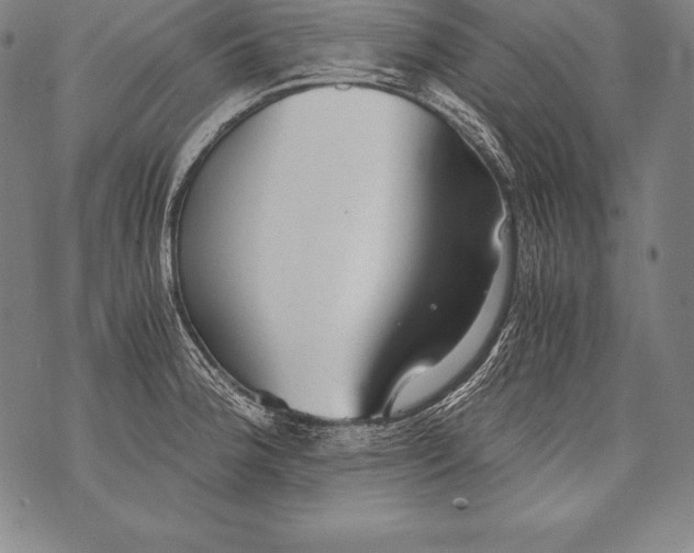 X0000076091188200610152311