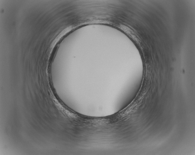 X0000076091189200610152311