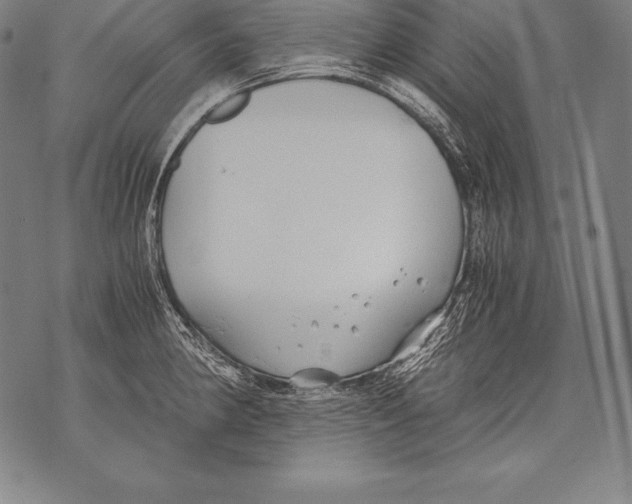 X0000076091190200610152311