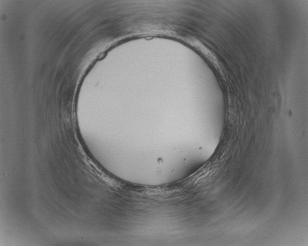 X0000076091191200610152311