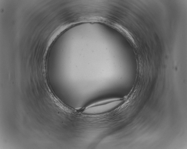 X0000076091192200610152311