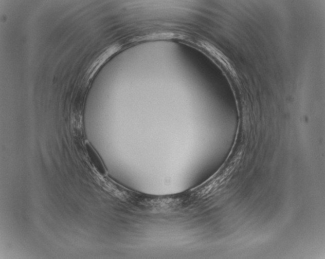 X0000076091193200610152310