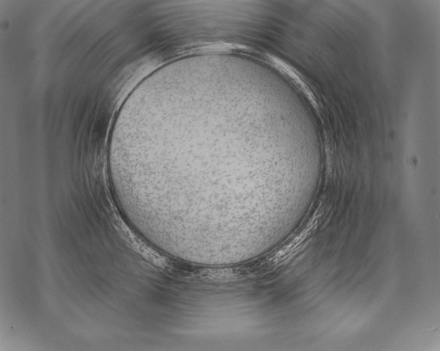 X0000076091194200610152310