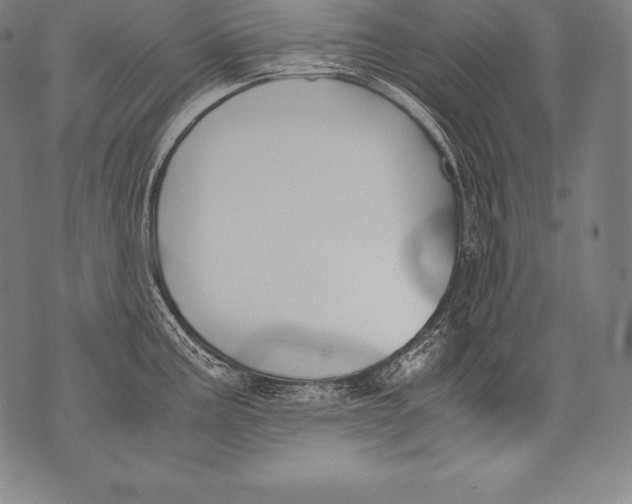 X0000076091195200610152310