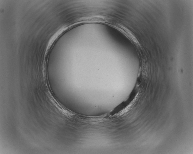 X0000076091196200610152310