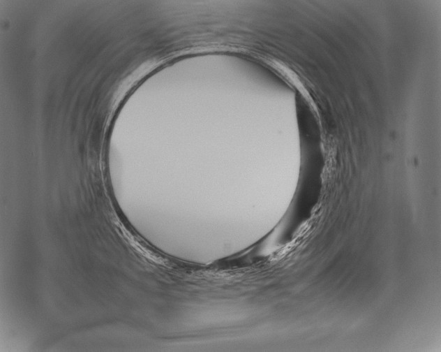 X0000076091197200610152310