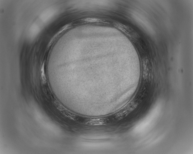 X0000076091198200610152310