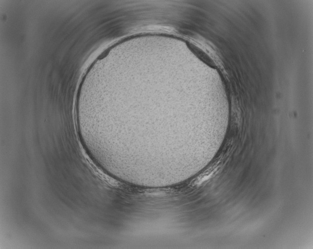 X0000076091199200610152310