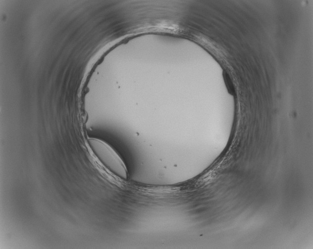 X0000076091200200610152310