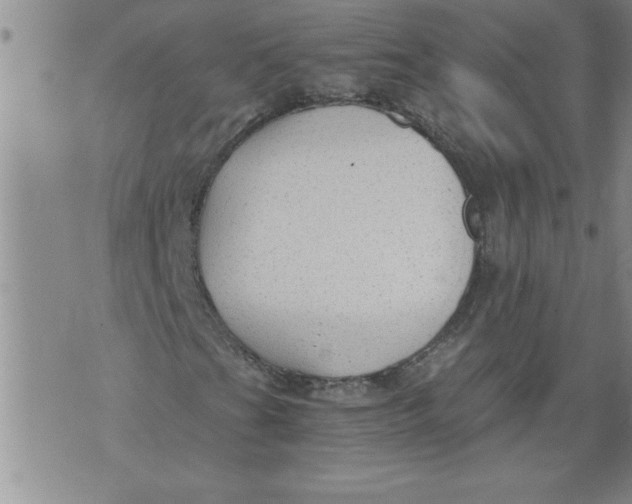 X0000076091201200610152310