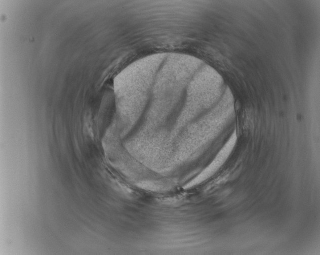 X0000076091202200610152310