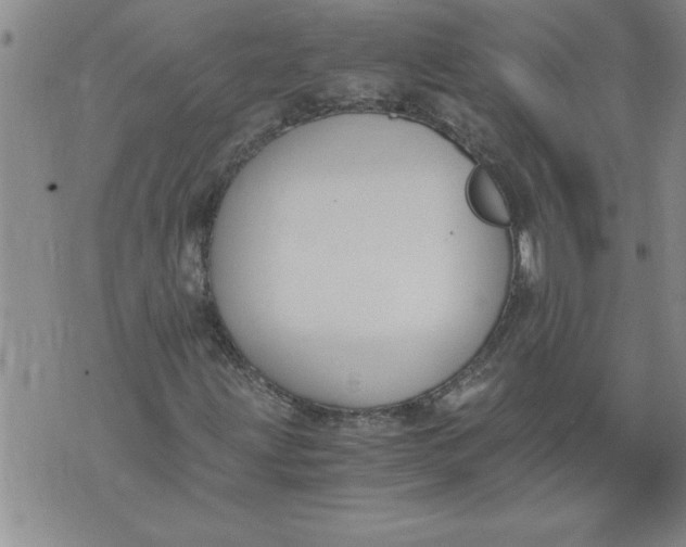 X0000076091203200610152310