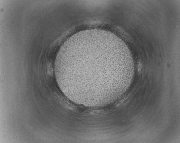 X0000076091204200610152310