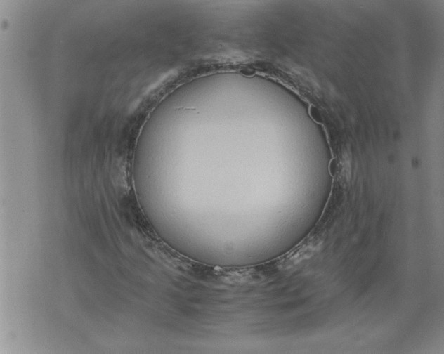 X0000076091205200610152310