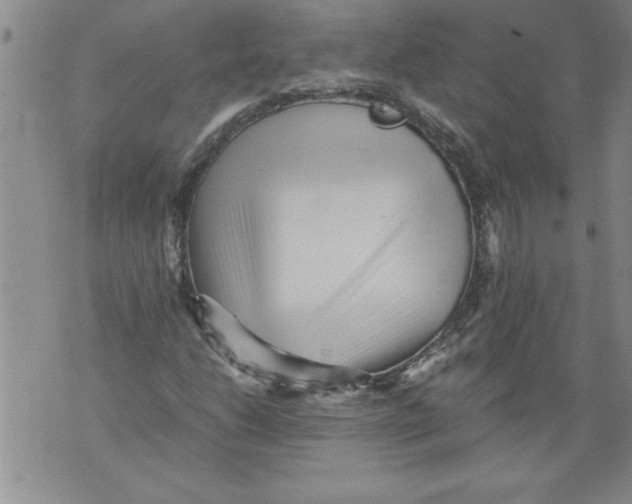 X0000076091206200610152310