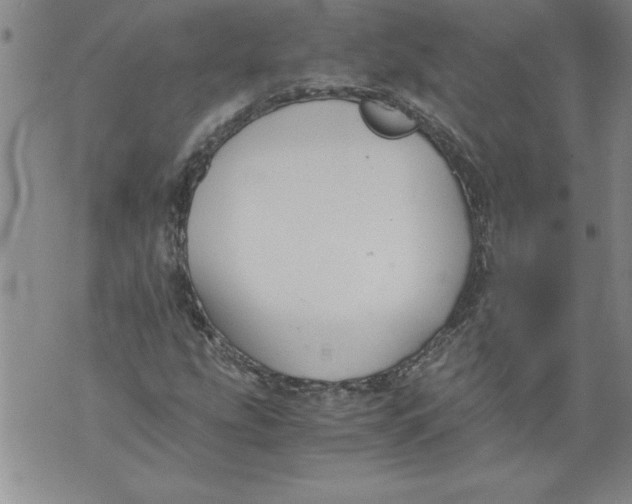 X0000076091207200610152310