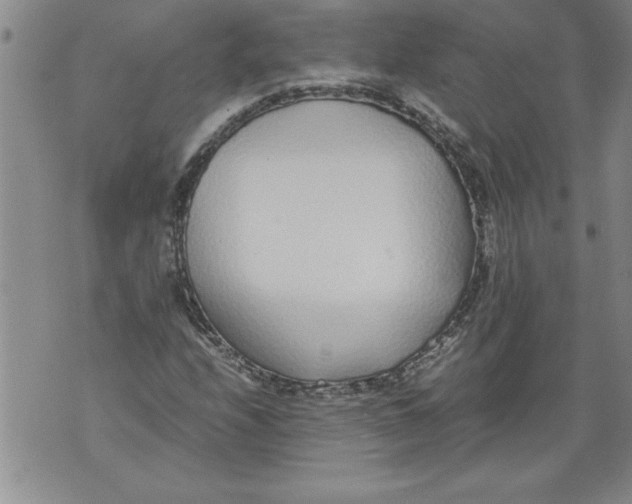 X0000076091208200610152310