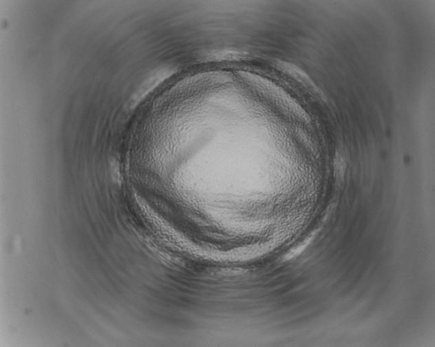 X0000076091209200610152310