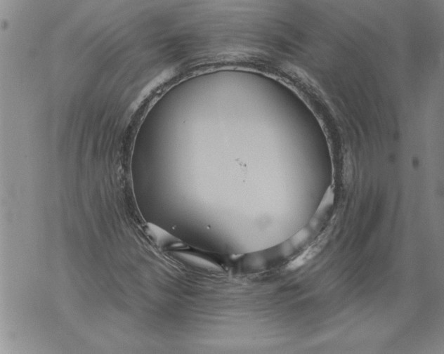 X0000076091210200610152310