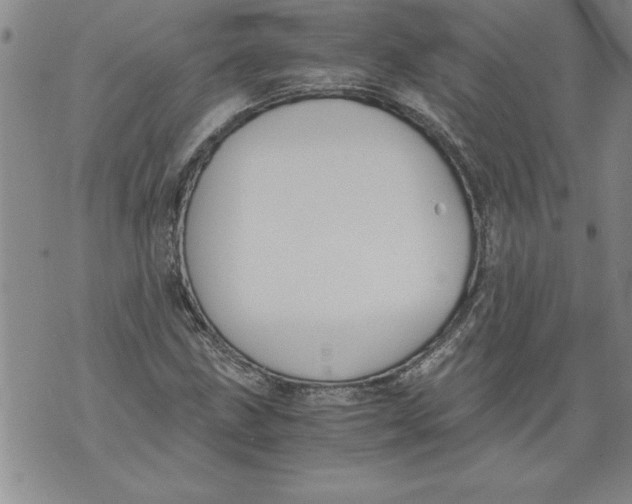 X0000076091211200610152310