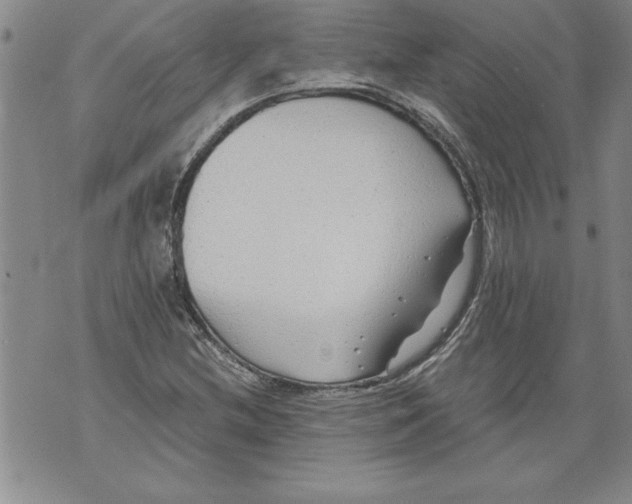 X0000076091212200610152310