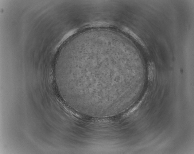 X0000076091213200610152310