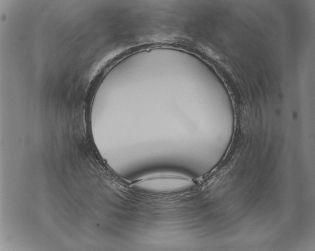 X0000076091214200610152310