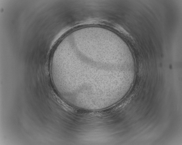 X0000076091216200610152310