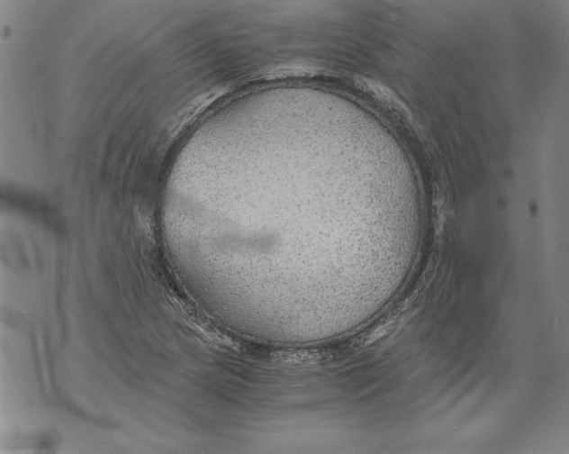 X0000076091217200610152310