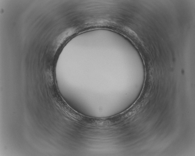 X0000076091218200610152310